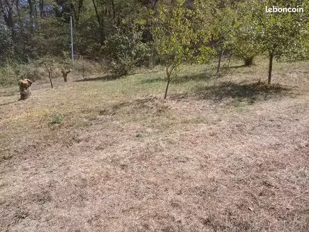 terrain constructible
