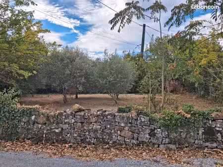 terrain constructible