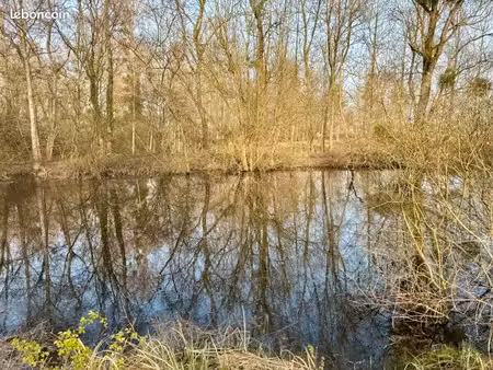 opportunité rare terrain de loisir eau+electricite de 9000 m² avec un étang (ou lac) de 13