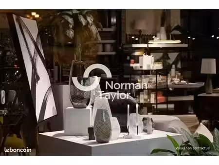 local commercial 1 000 m²