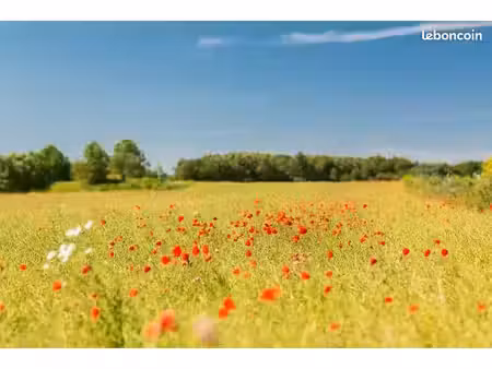 terrain 650 m² gensac la pallue
