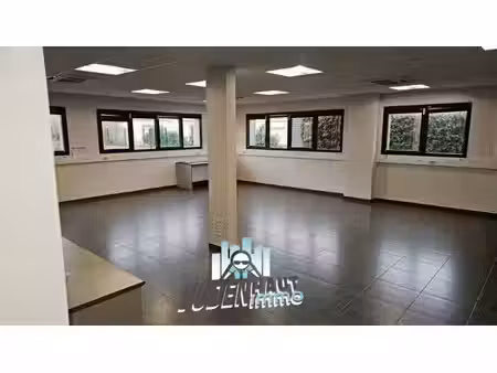 vente bureaux plaisance-du-touch 31830 949m²