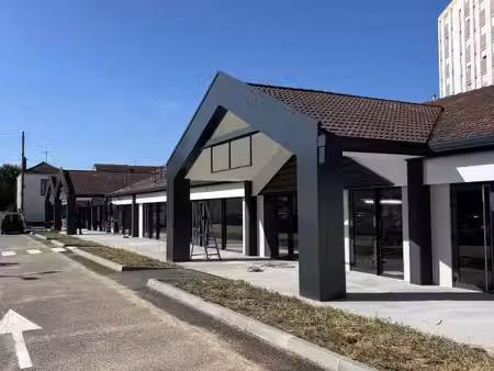 vente commerce roanne 42300 256m²