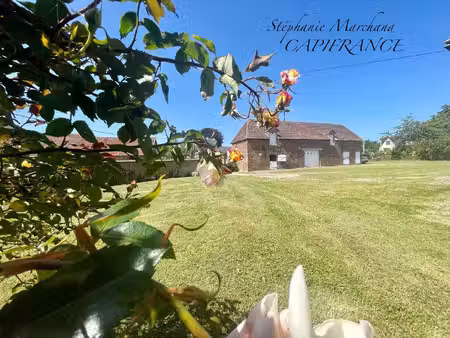marchand stéphanie capifrance