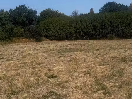 terrain à louer 4500 m2