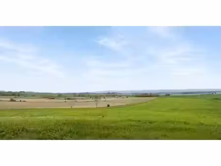 terrain agricole