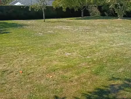 terrain 900m2