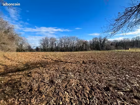terrain 4 250 m² paulin