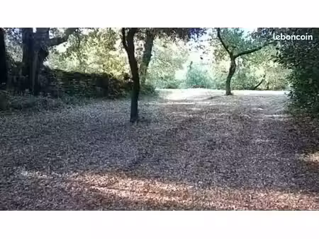 beau terrain arboré 3 487 m² – le bousquillon  rochegude (26790) – 18 000
