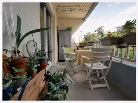 appartement dans un environnement verdoyant calme avec cave