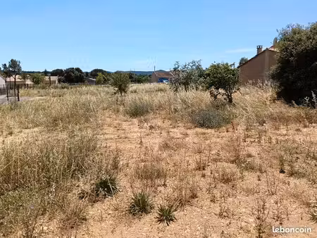terrain 313 m² laudun l ardoise