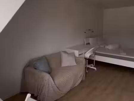chambre en colocation