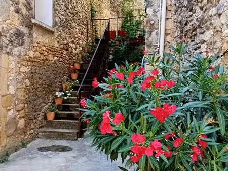 grande maison au coeur du village historique du xi eme s
