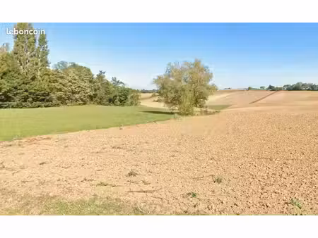 terrain 991 m² tarabel