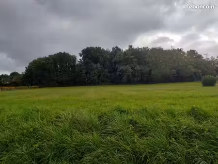 terrain 740 m² romagne