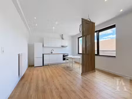 appartement lumineux entièrement rénové 2 chambres