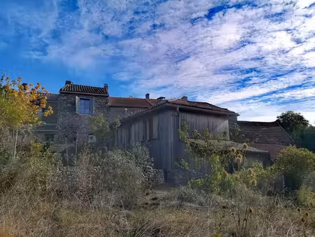 a vendre en exclusivité dans le gers: jolie maison de village en très bon état avec jardin