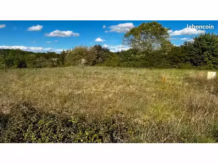 terrain 6 500 m² saint caprais de bordeaux