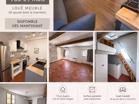 à louer – t3 meublé à villes-sur-auzon