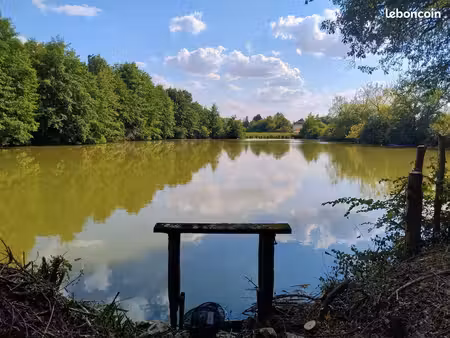 etang avec terrain