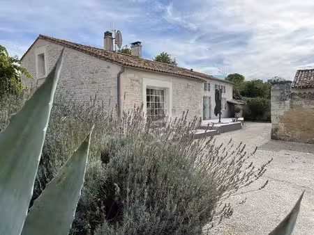 picot chantal - axo et actifs