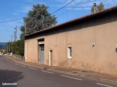 local 150 m² saint leger sur roanne