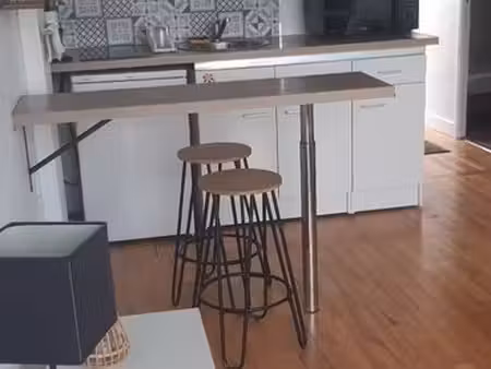 a vendre t2 entièrement rénové 27 m2
