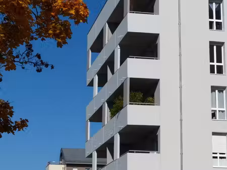 t3 66m2 avenue langres dijon