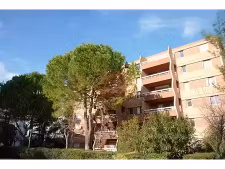 location appartement 1 pièce 24.64 m² à montpellier (34000)  590 €