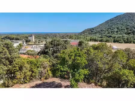 vaste terrain constructible à agnatellu