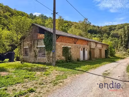 vente immeuble 1 pièce 1250 m² à châteauponsac (87290)  97 000 €
