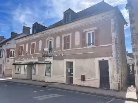 achat immeuble 262m² montcresson 45700