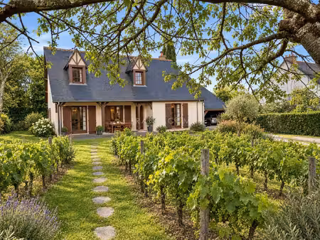 achat maison 7 pièces 140m² joue les tours 37300