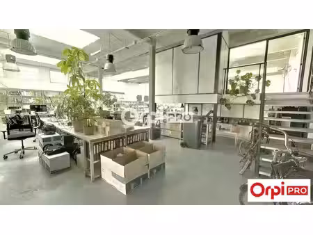 location commerce lille 59000 370m²