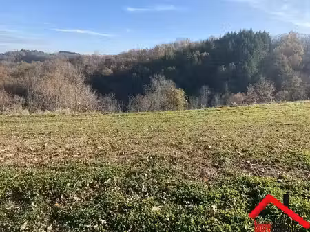vente terrain 2500 m² à saint-cyprien (19130)  25 900 €