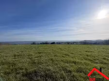 vente terrain 11991 m² à ayen (19310)  18 900 €