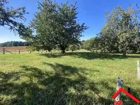 vente terrain 2340 m² à chabrignac (19350)  18 900 €