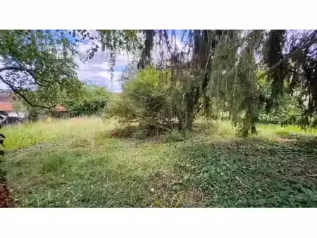 vente terrain 514 m² à cuise-la-motte (60350)  29 000 €