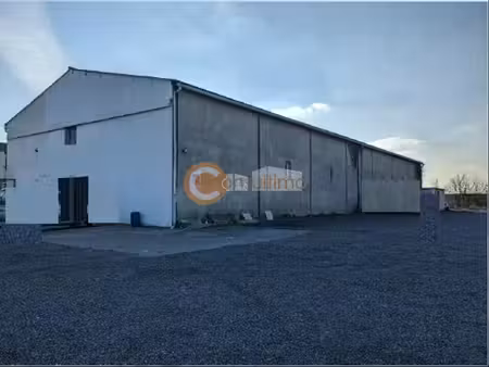 vente local d’activités ambares et lagrave 33440 762m²