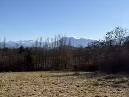vente terrain à saint-gaudens (31800) : à vendre / 2000m² saint-gaudens