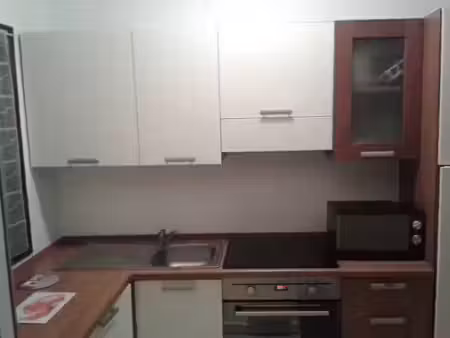 location appartement 2 pièces 38 m² à bastia (20600)