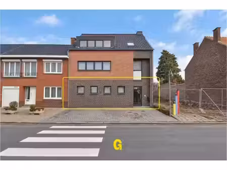 rez-de-chaussée à louer à nederstraat 25 a hoeselt (rbw89405)