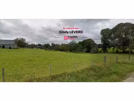 achat terrain 3 200m² la chaise baudouin 50370