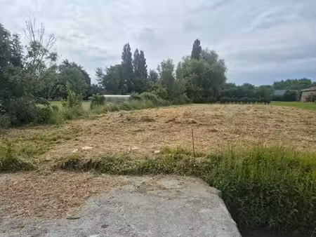 terrain