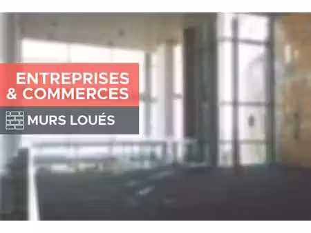 vente local d’activités longperrier 77230 440m²