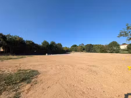 terrain