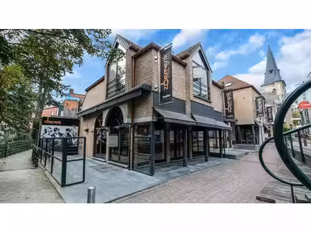 exclusief horecapand met 2 appartementen in het centrum v...