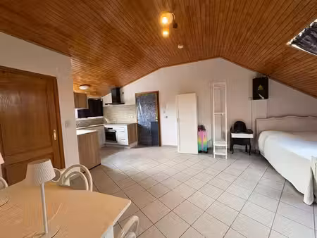 charmant studio totalement rénovée