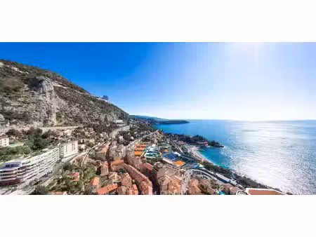 appartement avec terrasse et piscine monaco (98)