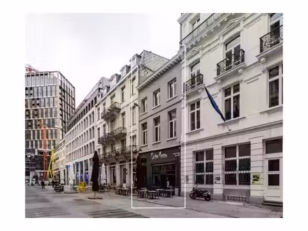 immeuble mixte à vendre à rue des princes 16 bruxelles (vbd83858)